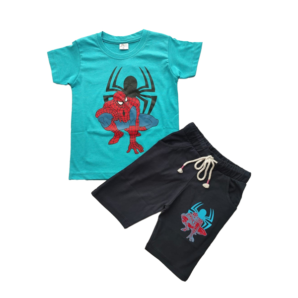 Boys T-shirt & Pant Set  SBS19